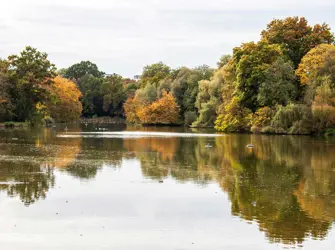 Botanic Sanctuary Antwerp Kamilla Isalieva Bb7ydouiw98 Unsplash