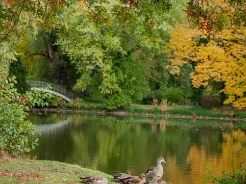 Botanic Sanctuary Antwerp Kamilla Isalieva Xcmykl3qsik Unsplash