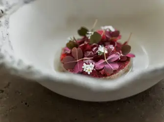 Luxurious Stay In The Heart Of Antwerp Including A 3 Hour Hertog Jan Culinary Adventure In Botanic Sanctuary Antwerp 12 1024X768