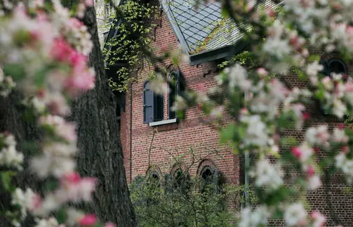 Botanic Sanctuary Antwerp USED 337A8030