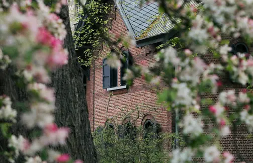 Botanic Sanctuary Antwerp USED 337A8030