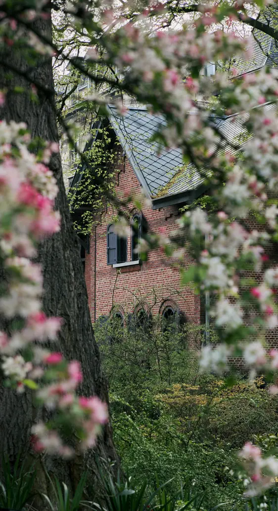 Botanic Sanctuary Antwerp USED 337A8030