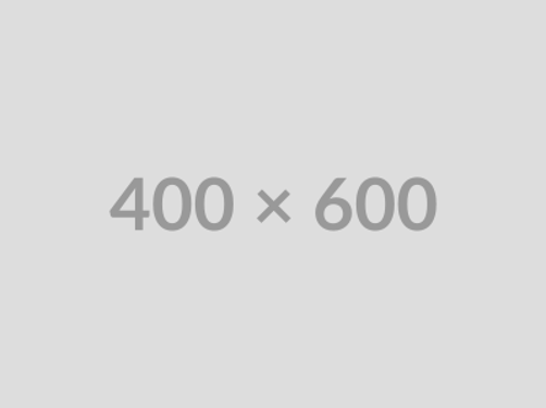 400X600