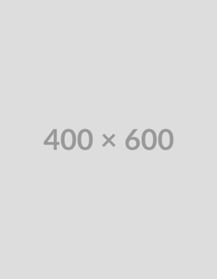 400X600