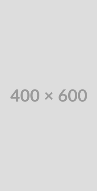 400X600