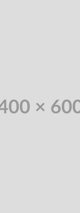 400X600