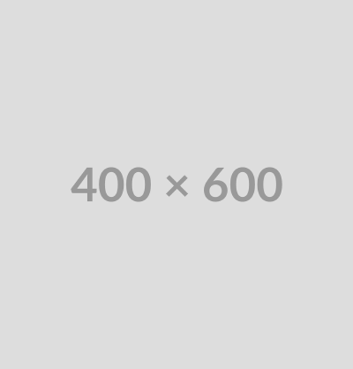 400X600