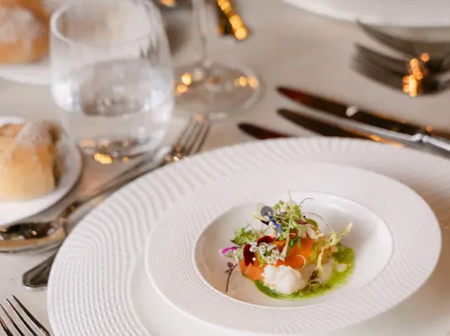Botanic Gourmet Festival 2025 3X0A4580