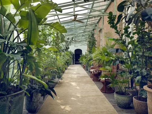 Botanic Sanctuary Antwerp Hallway