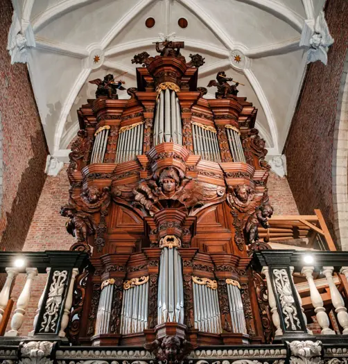 History Of Botanic Sanctuary Antwerp Monastic Roots 5