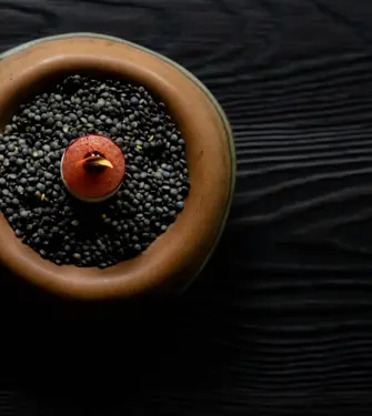 Michelin Starred Cuisine Of Jacob Jan Boerma And Thomas Diepersloot At Botanic Sanctuary Antwerp 7