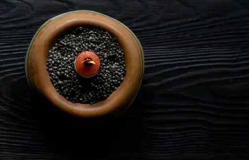 Michelin Starred Cuisine Of Jacob Jan Boerma And Thomas Diepersloot At Botanic Sanctuary Antwerp 7