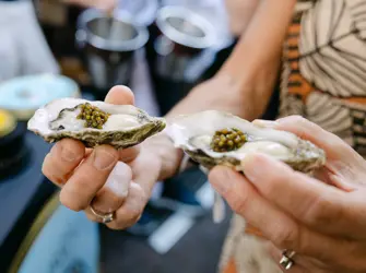 Botanic Gourmet Festival 2025 937A7568