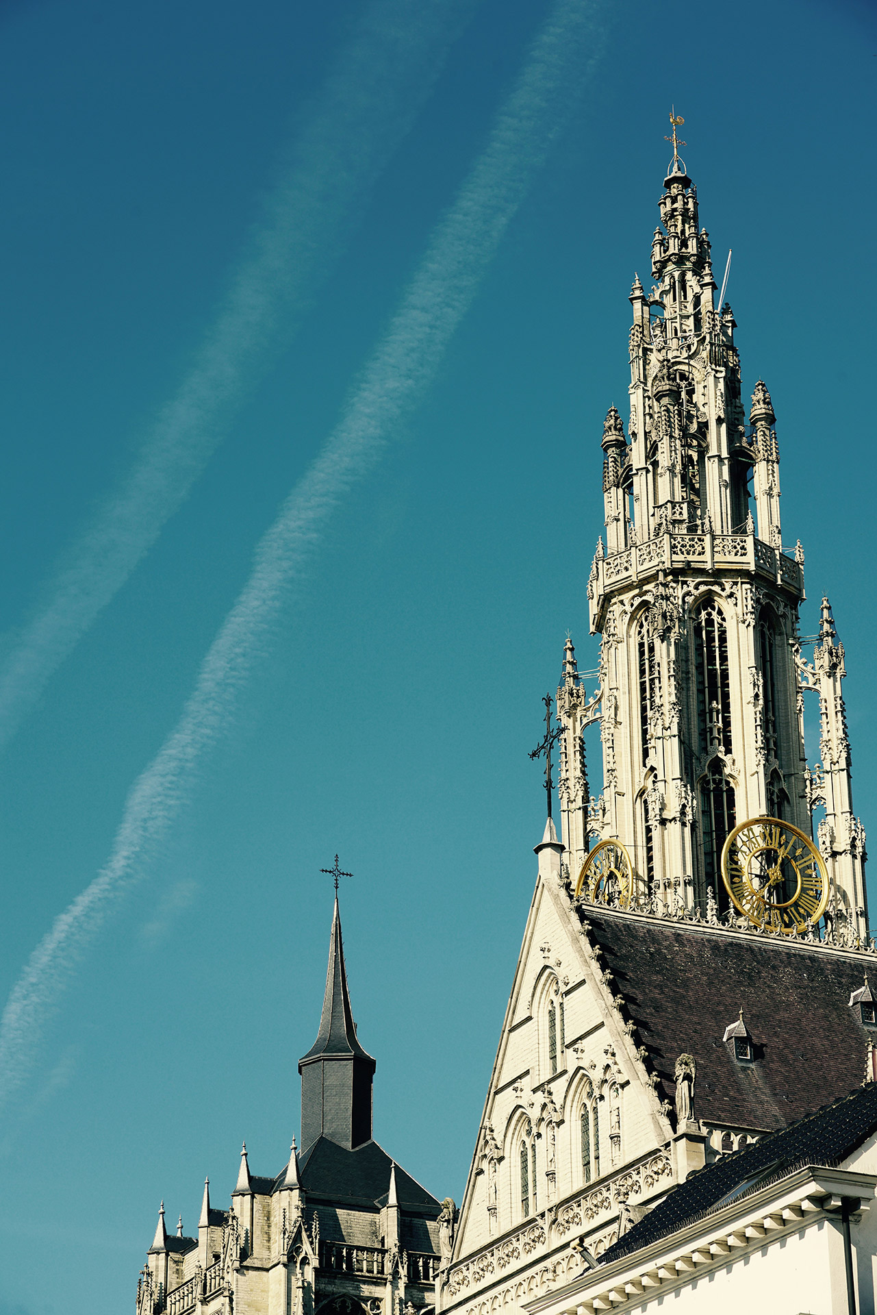 Botanic Sanctuary Antwerp Paul Teysen Ffxtibqz42o Unsplash