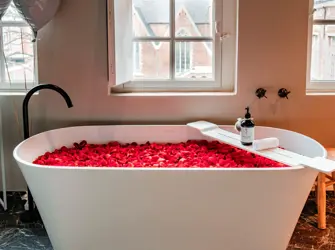 Botanic Sanctuary Antwerp Romantic 1972