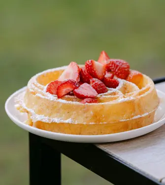 Botanic Gourmet Festival 2025 155A9067