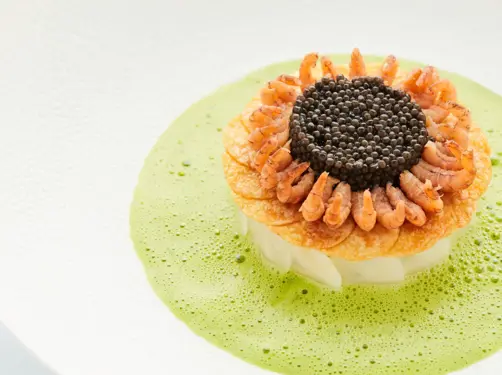 Het Gebaar Enchanting Culinary Haven In The Heart Of Antwerps Botanical Garden 6