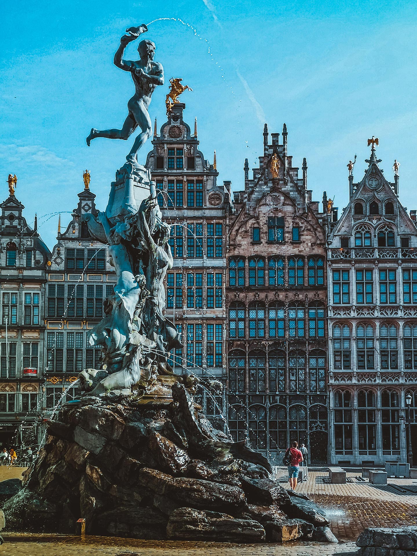 Botanic Sanctuary Antwerp Daniels Joffe Wgzz9h Vocw Unsplash